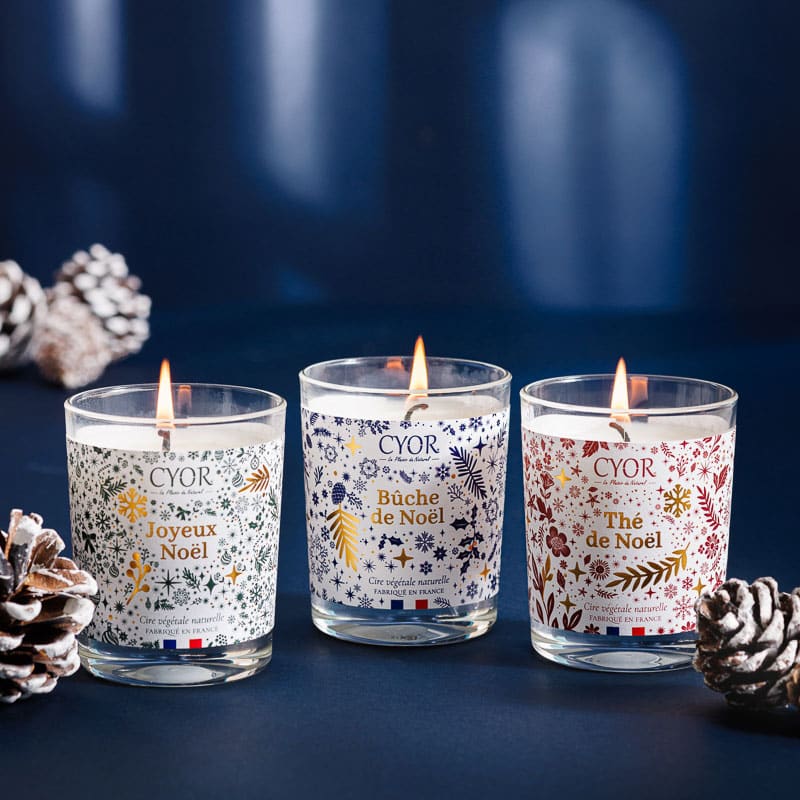 Institut Biotyful - coffret magique Noël 2025